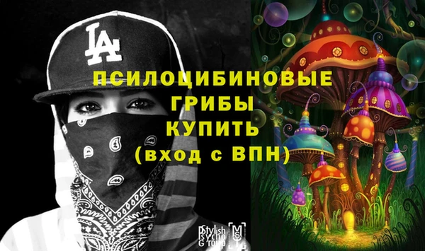 a pvp Арсеньев